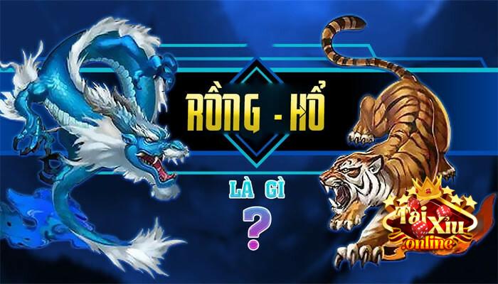 Rồng hổ là gì?