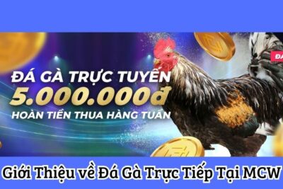 Đá gà trực tiếp MCW – Nơi Hội Tụ Niềm Đam Mê và Thử Thách May Mắn!