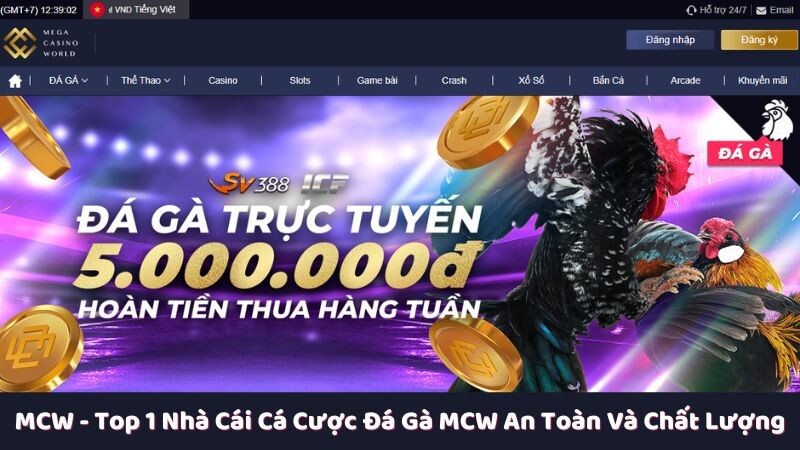 Điểm qua các yếu tố giúp MCW trở thành một nhà cái an toàn và chất lượng